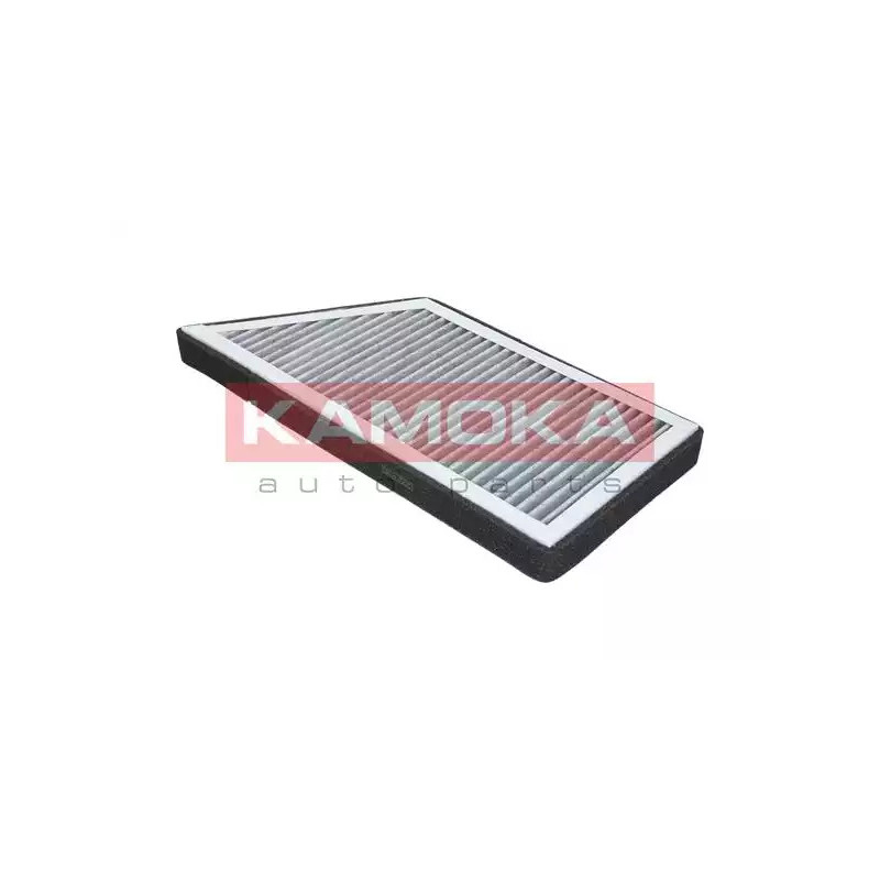 Salono filtras  KAMOKA F501601