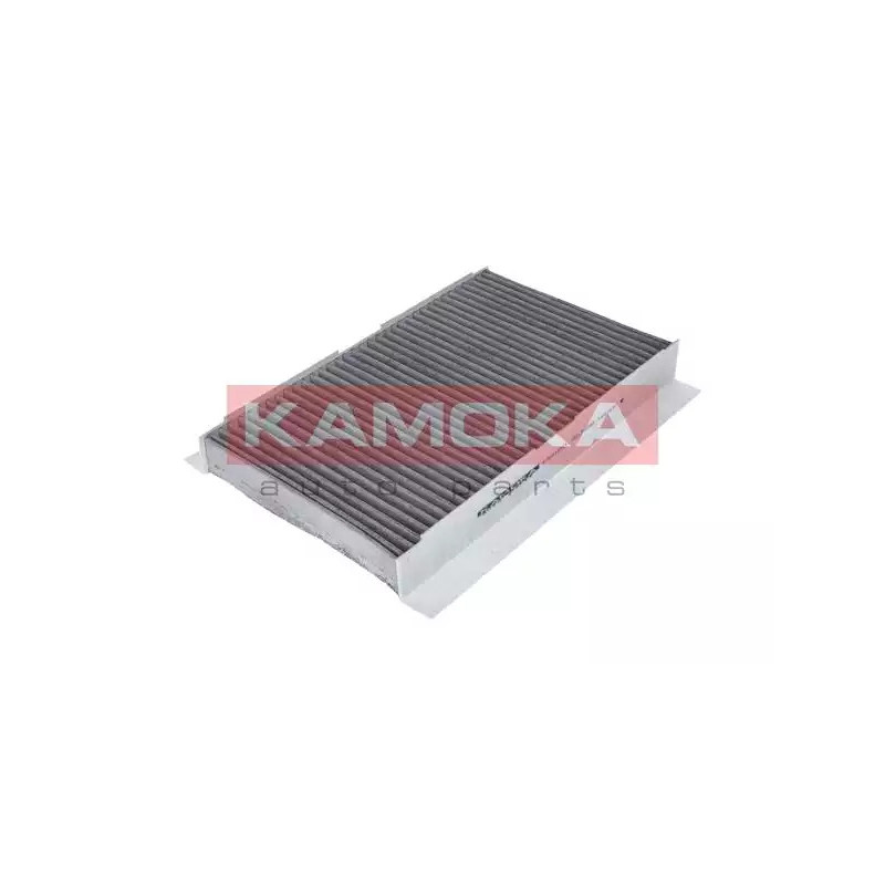 Salono filtras  KAMOKA F501801