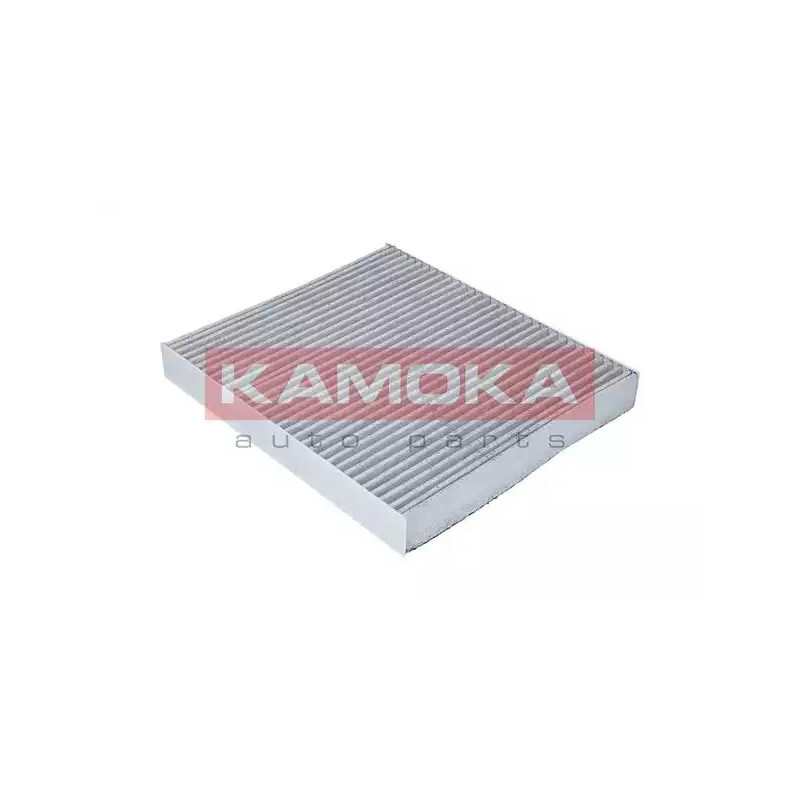 Salono filtras  KAMOKA F503301