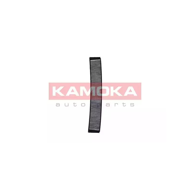 Salono filtras  KAMOKA F504301