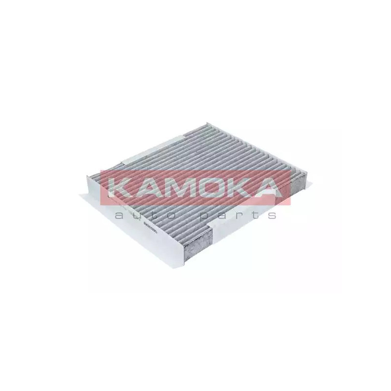 Salono filtras  KAMOKA F504501