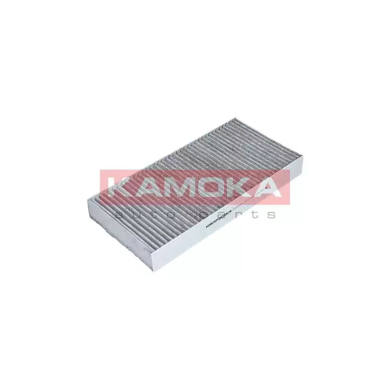 Salono filtras  KAMOKA F505201