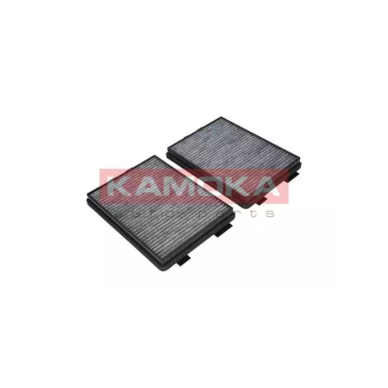 Salono filtras  KAMOKA F505701