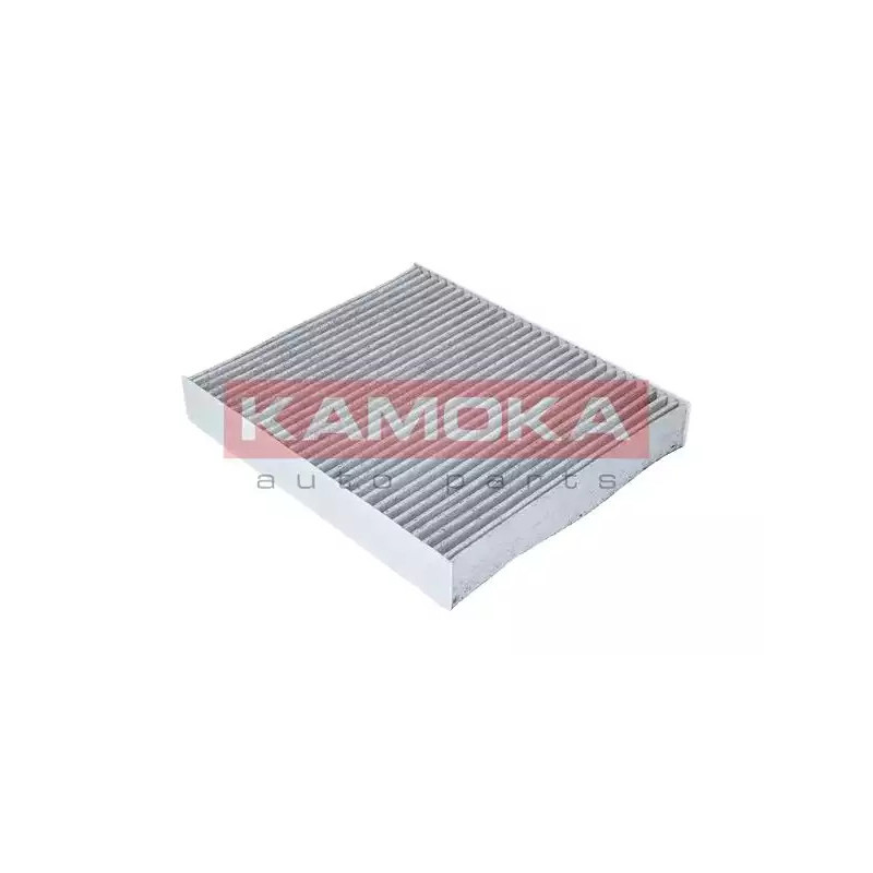 Salono filtras  KAMOKA F507401