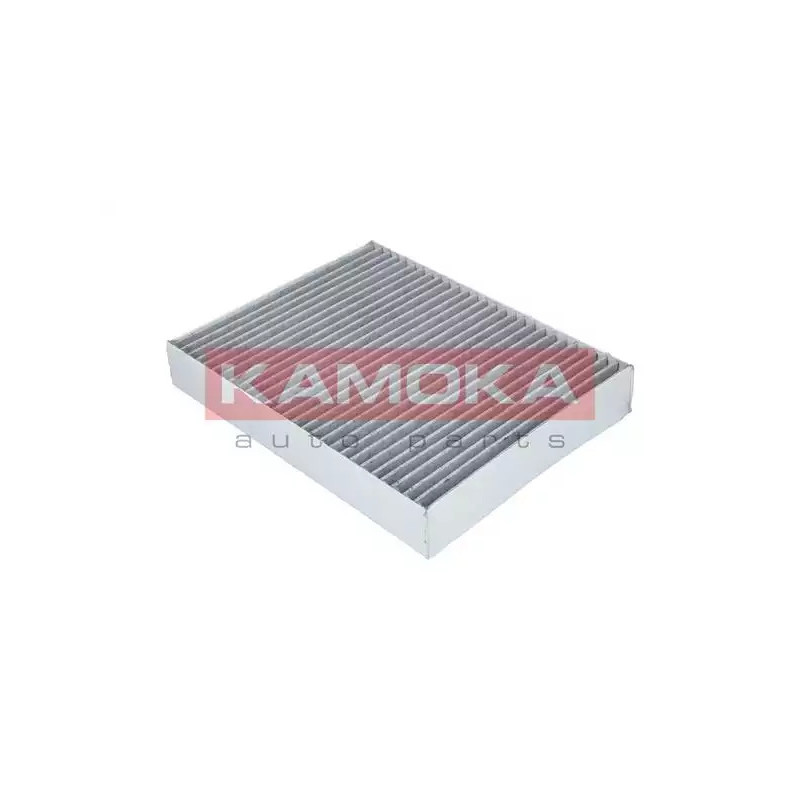 Salono filtras  KAMOKA F508701