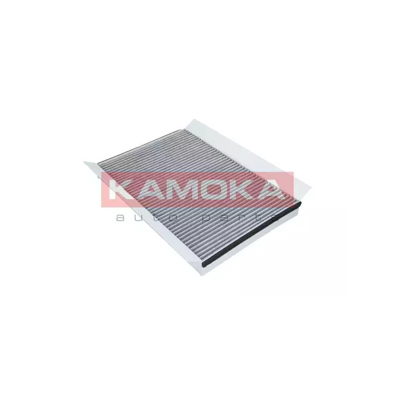 Salono filtras  KAMOKA F509001