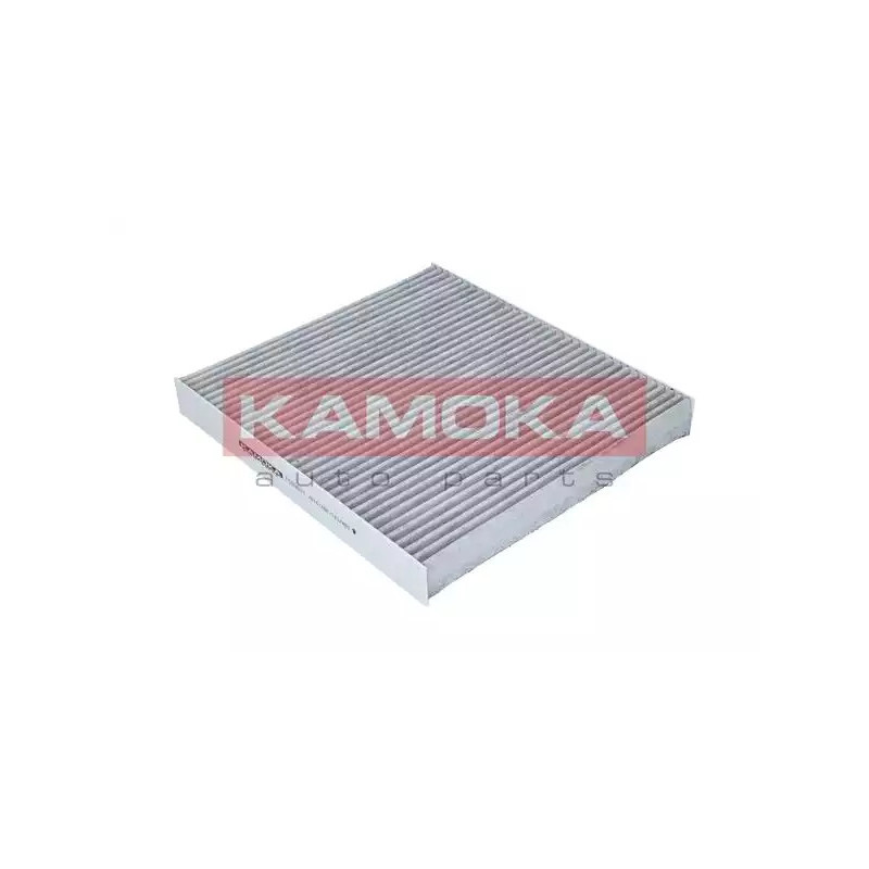 Salono filtras  KAMOKA F509601