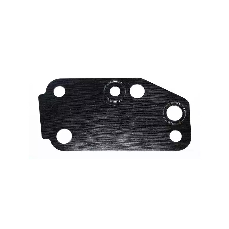 Vandens siurblio tarpiklis  ELRING 030.671