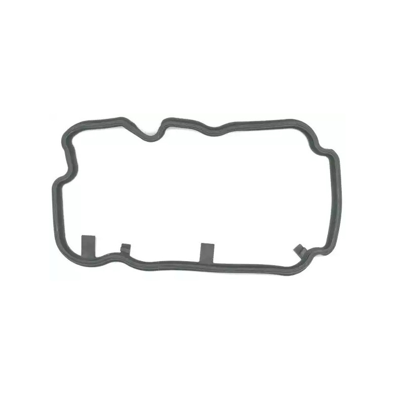 Svirties dangtelio tarpinė  ELRING 060.600