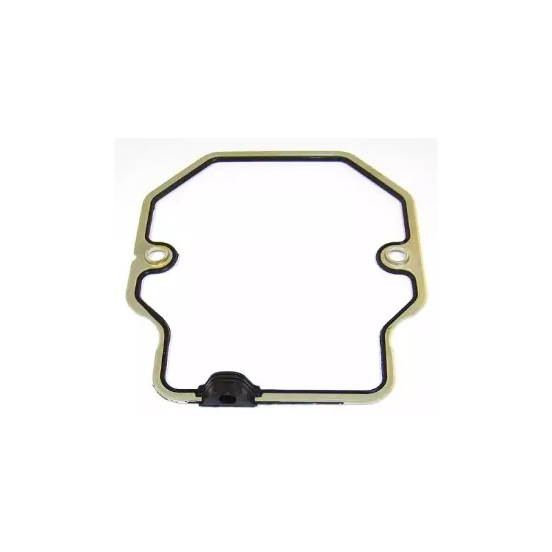 Svirties dangtelio tarpinė  ELRING 100.013