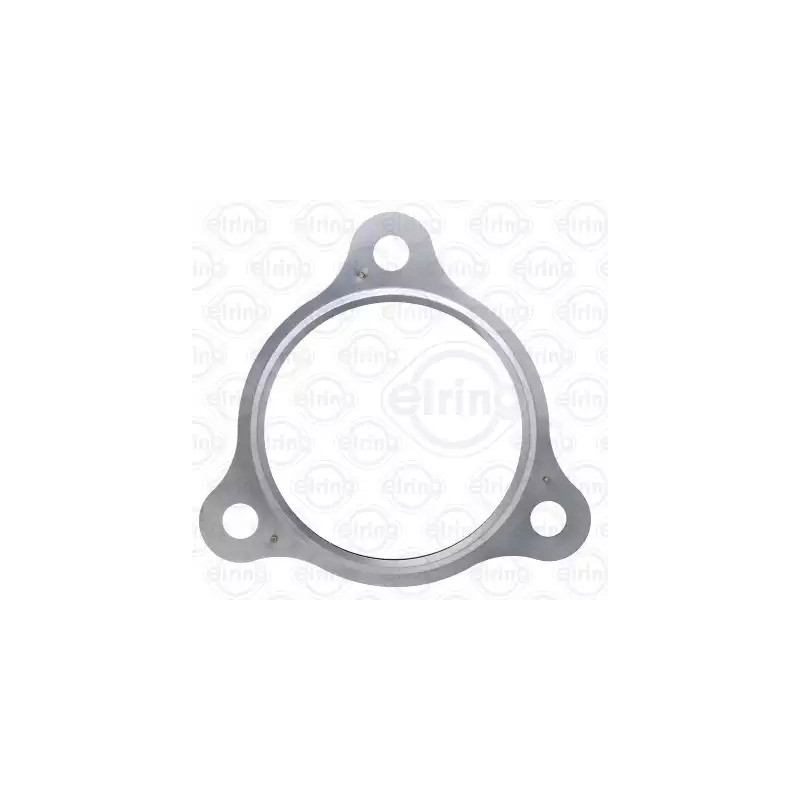 Išleidimo kolektoriaus tarpinė  ELRING 423.010