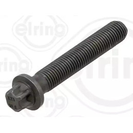 Švaistiklio varžtas  ELRING 434.490