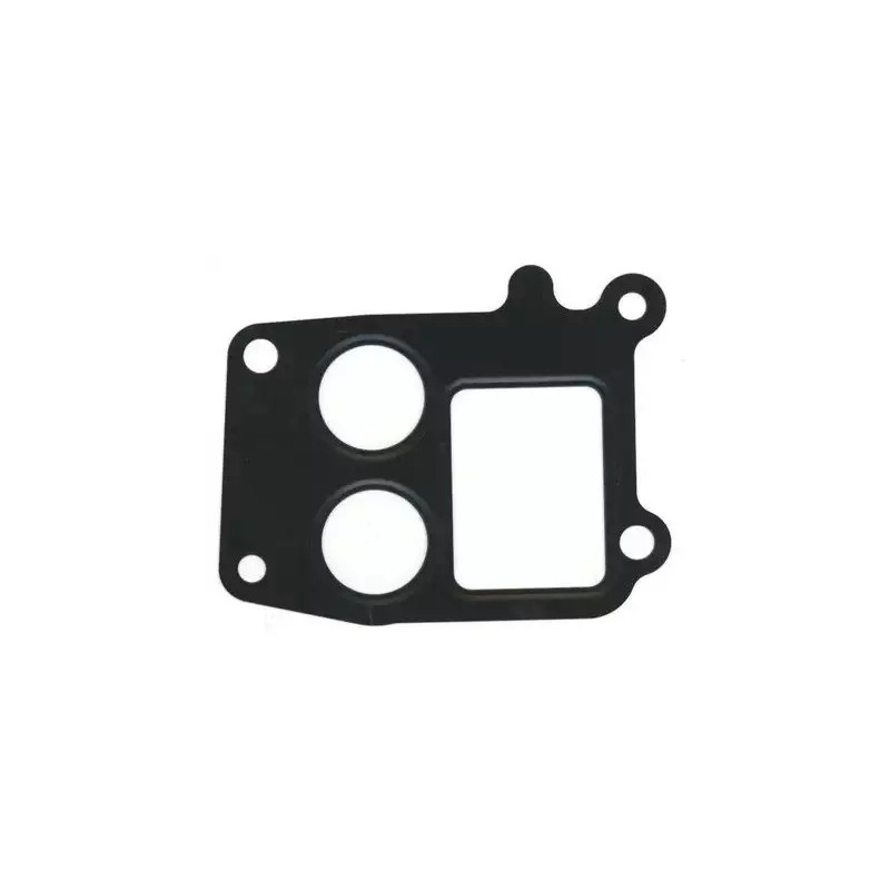 Termostato korpuso tarpinė  ELRING 808.340