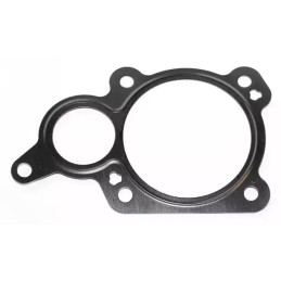 EGR vožtuvo tarpinė  ELRING 808.681