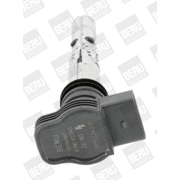 Uždegimo ritė  BorgWarner (BERU) ZSE043