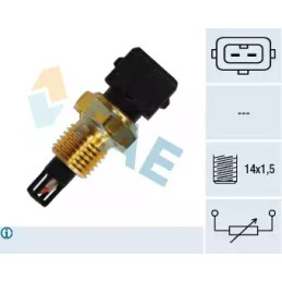 Įsiurbiamo oro temperatūros valdymo blokas  FAE 33220