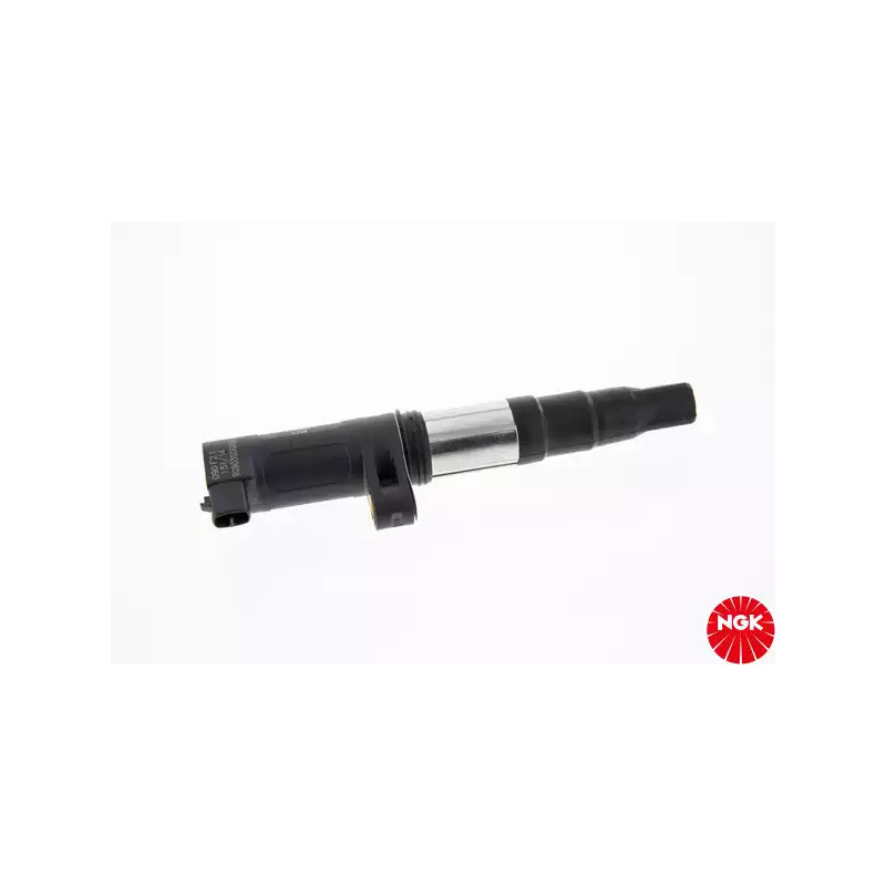 Uždegimo ritė  NGK 48002