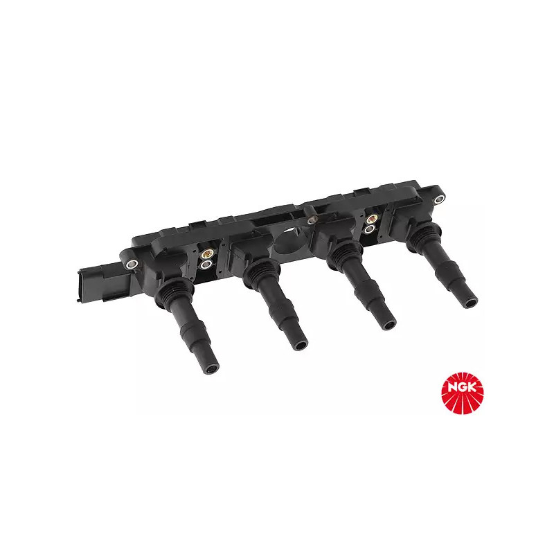 Uždegimo ritė  NGK 48011