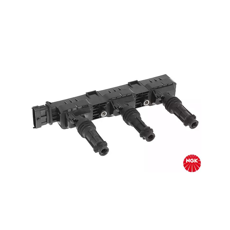 Uždegimo ritė  NGK 48022