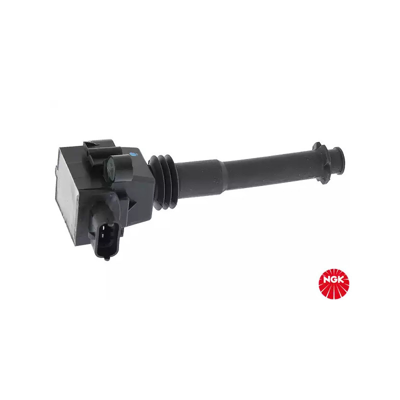 Uždegimo ritė  NGK 48046
