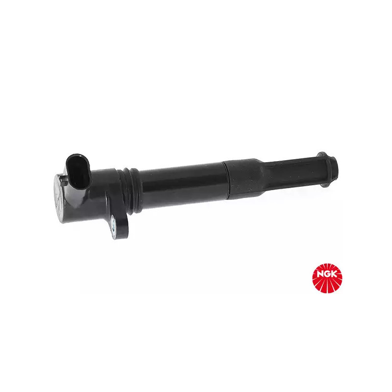Uždegimo ritė  NGK 48061