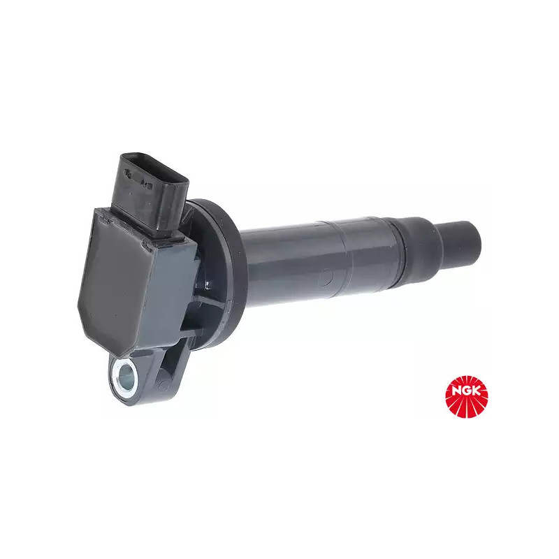 Uždegimo ritė  NGK 48095