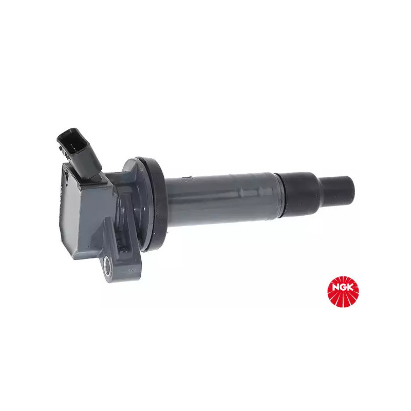 Uždegimo ritė  NGK 48107