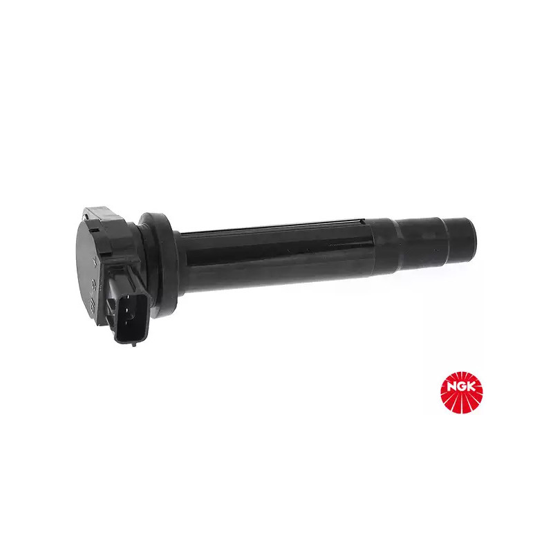 Uždegimo ritė  NGK 48122