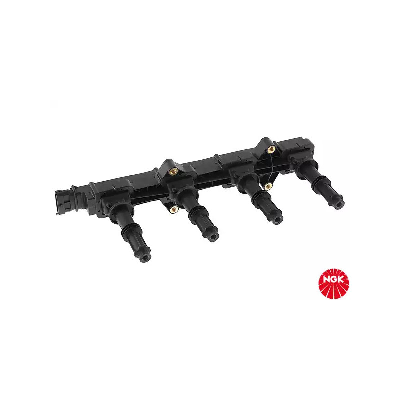 Uždegimo ritė  NGK 48151