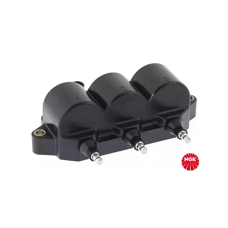 Uždegimo ritė  NGK 48153