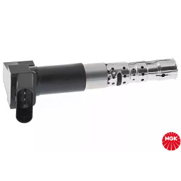 Uždegimo ritė  NGK 48165