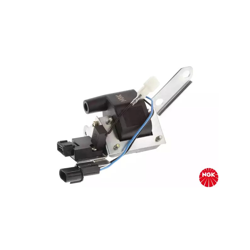 Uždegimo ritė  NGK 48176