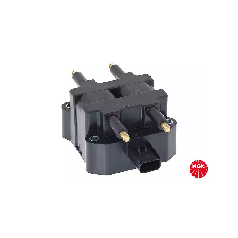 Uždegimo ritė  NGK 48185