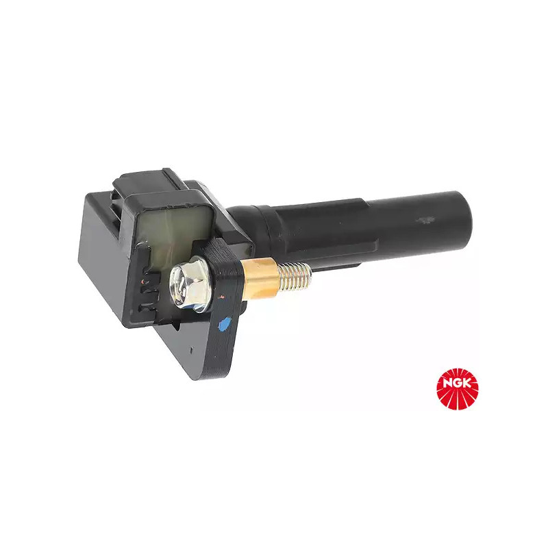Uždegimo ritė  NGK 48215