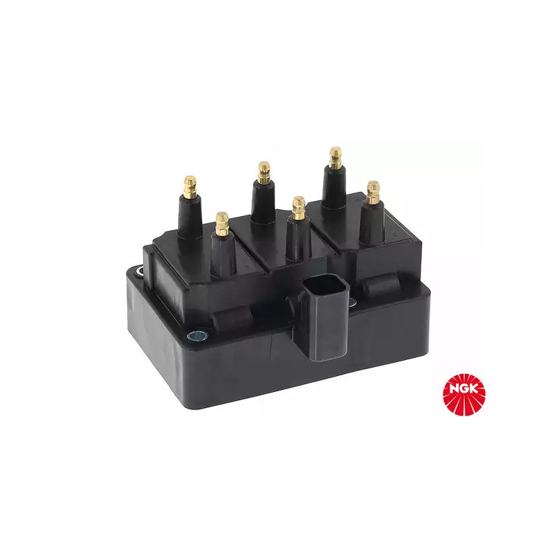 Uždegimo ritė  NGK 48220