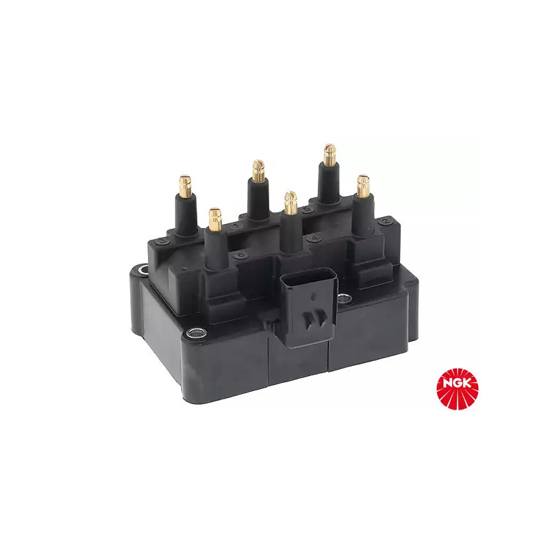 Uždegimo ritė  NGK 48261