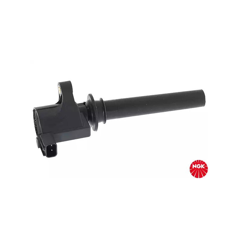 Uždegimo ritė  NGK 48276