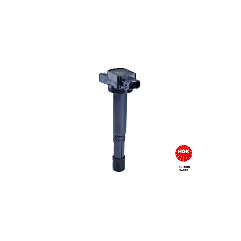 Uždegimo ritė  NGK 48295