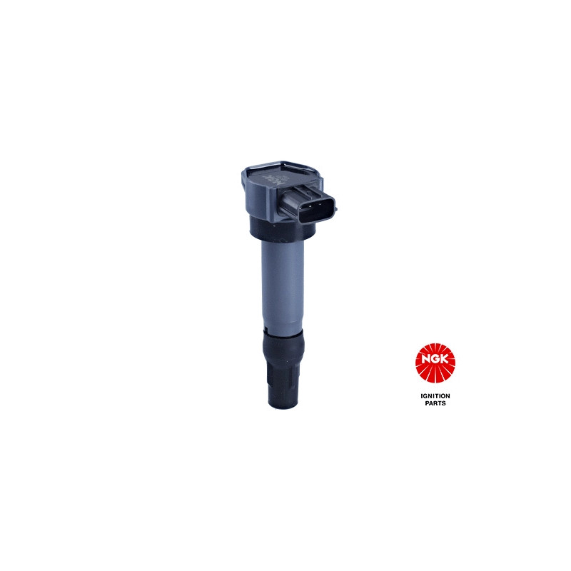 Uždegimo ritė  NGK 48317