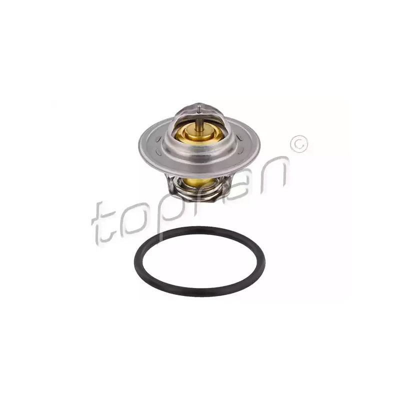 Termostatas  TOPRAN 100 957