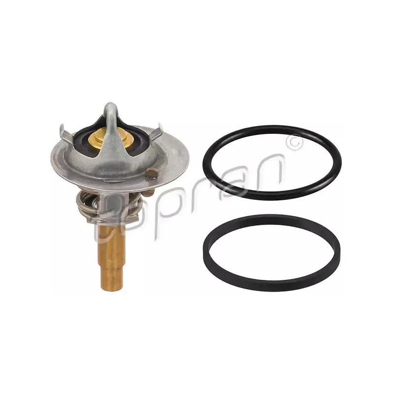 Termostatas  TOPRAN 401 919