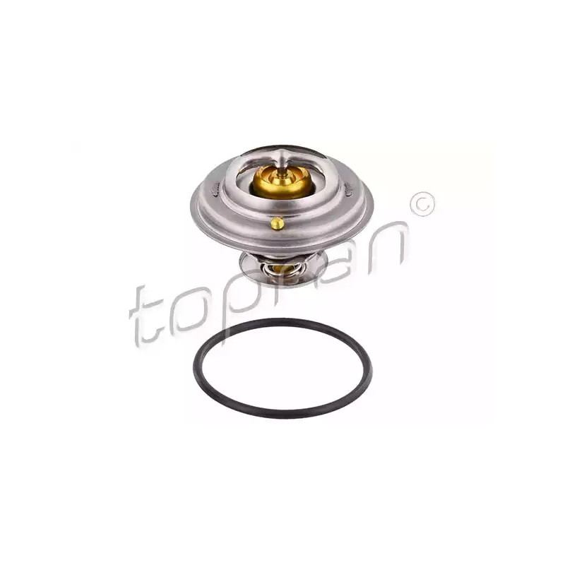 Termostatas  TOPRAN 500 545