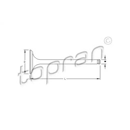 Įleidimo vožtuvas  TOPRAN 700 653