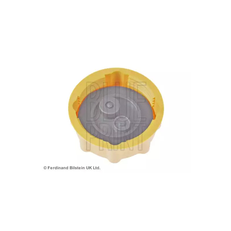 Radiatoriaus dangtelis  BLUE PRINT ADG09901