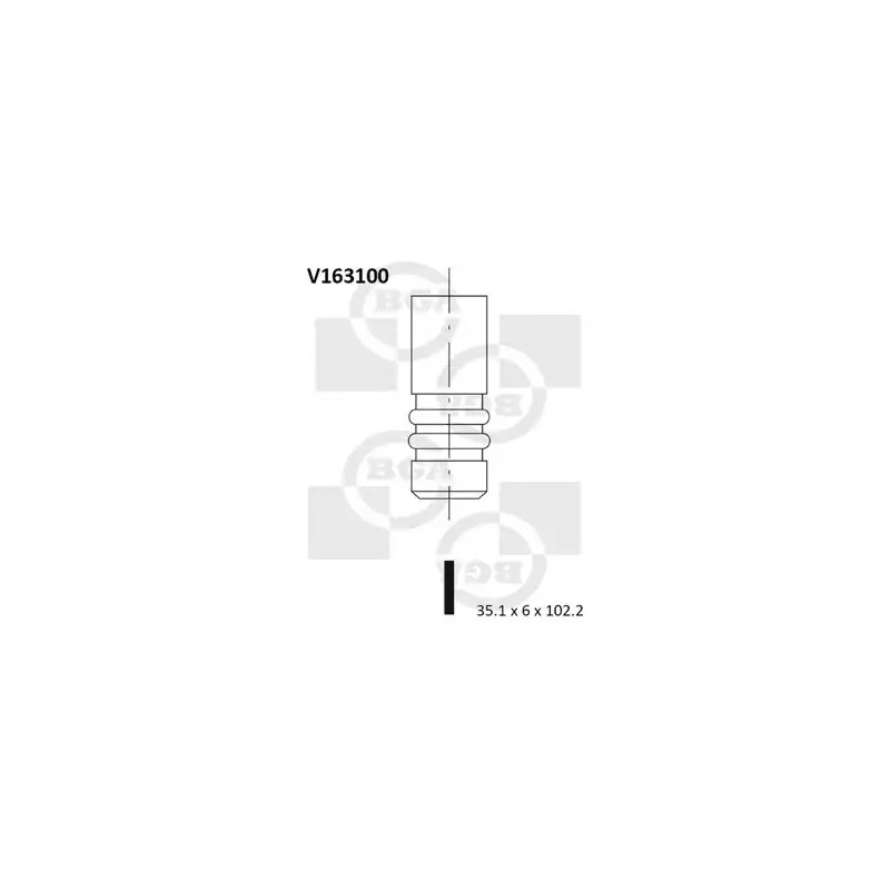 Įleidimo vožtuvas  BGA V163100