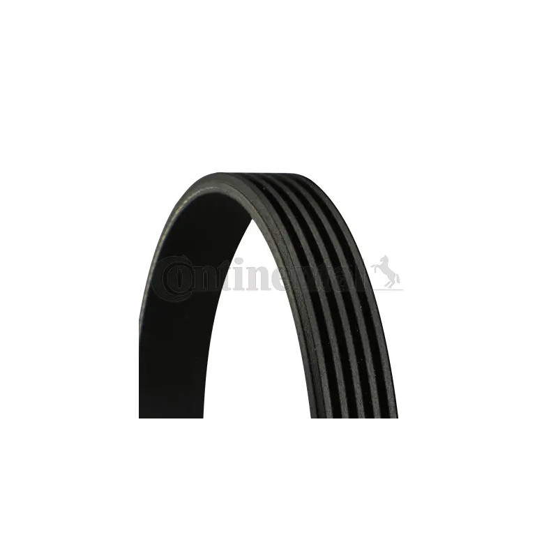 Dirželis  CONTINENTAL CTAM 5PK1005