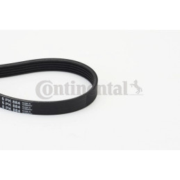 Dirželis  CONTINENTAL CTAM 5PK884