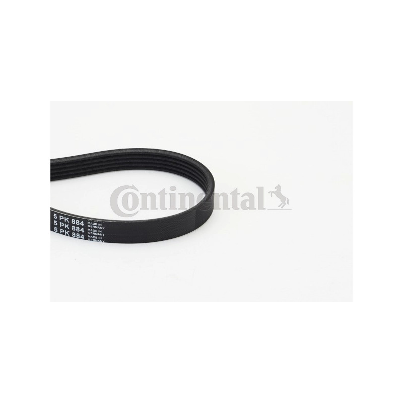 Dirželis  CONTINENTAL CTAM 5PK884