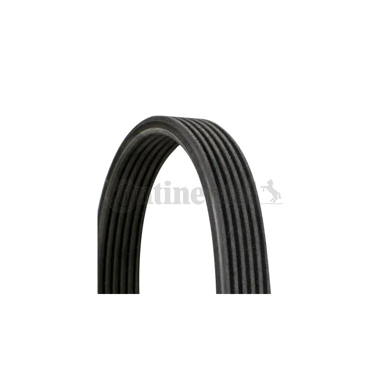 Dirželis  CONTINENTAL CTAM 6DPK1195