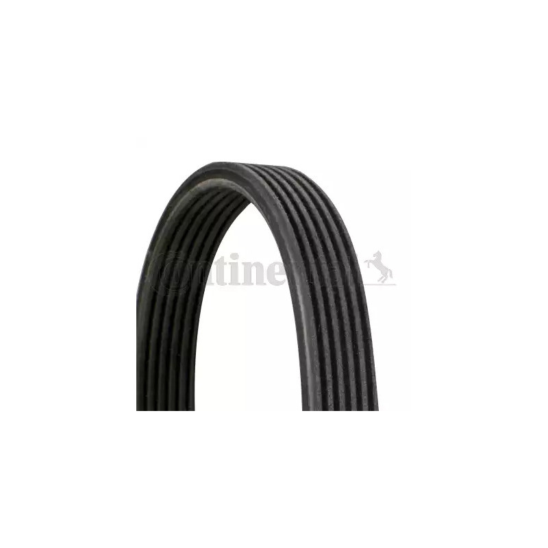 Dirželis  CONTINENTAL CTAM 6DPK1697